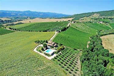Farmhouse with pool for sale in Umbria