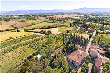 For sale wonderful organic farmhouse with pool in the heart of Tuscany.
