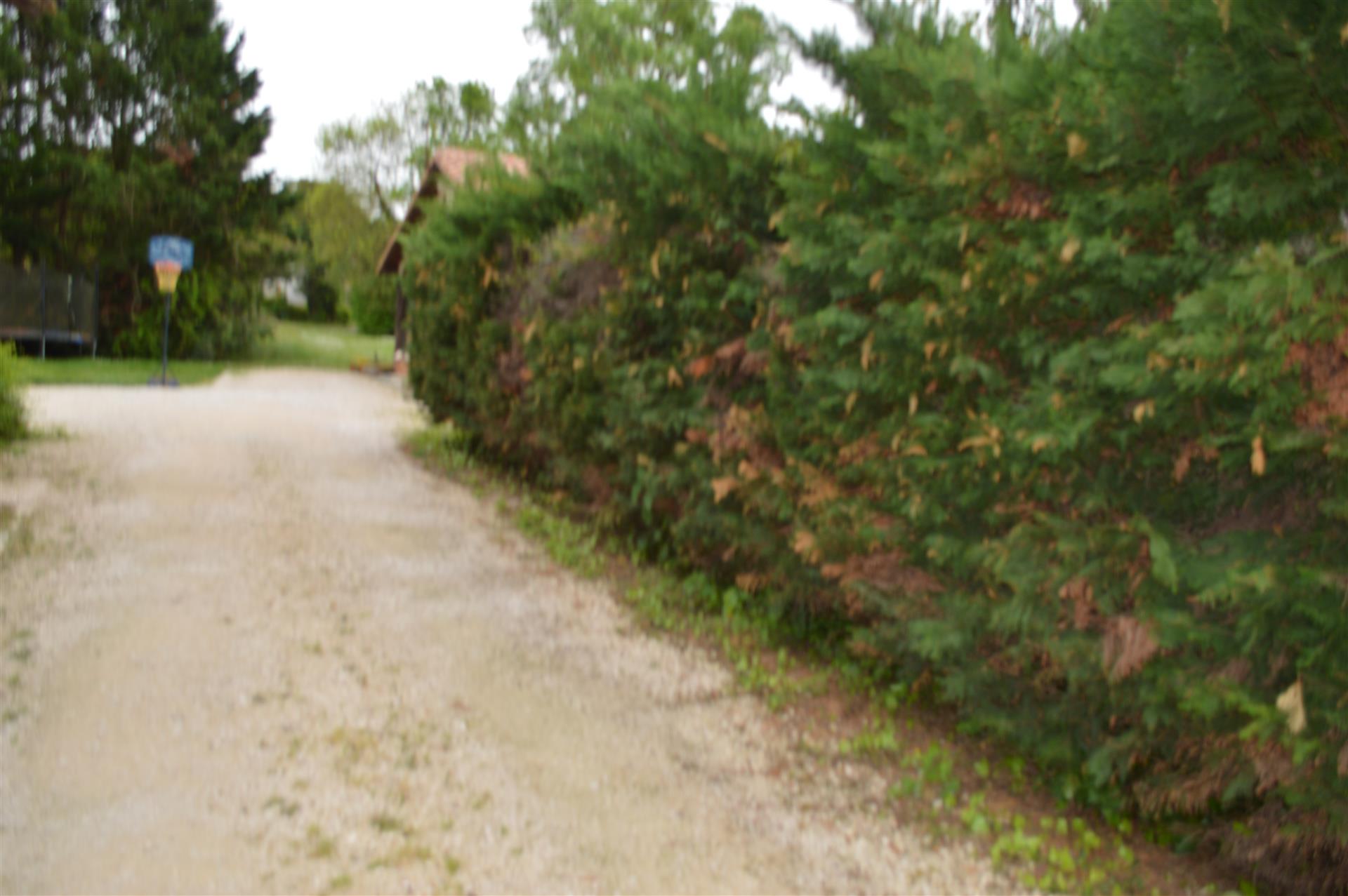 Renovated stone house + barn on 3906 m2