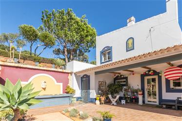 Countryside villa with large landscaped garden close to Ingrina and Zavial beach and Sagres, West Al