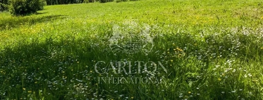Advert pic 0