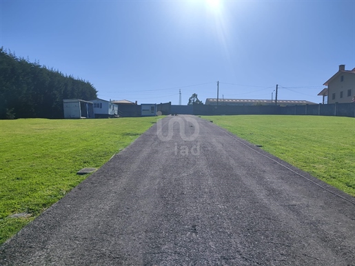 Advert picture