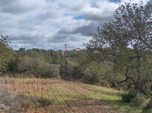 Urban Land for Senior Residence Unit, Loulé, Algarve