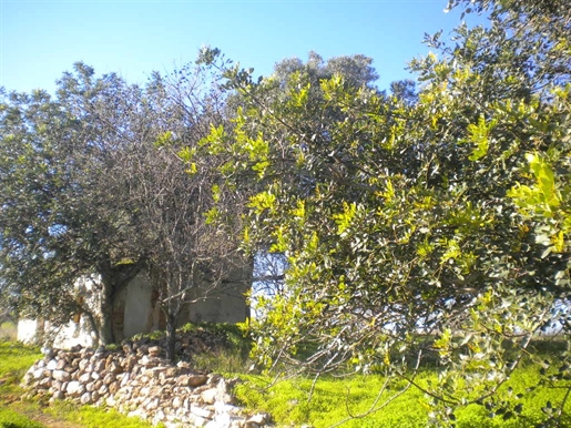 Plot with ruin in Álamos, Albufeira, Algarve