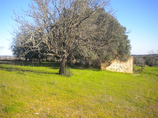 Plot with ruin in Álamos, Albufeira, Algarve