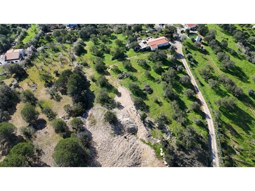 Land with Approval for Tourism in Rural Areas - Ter, with 3 bedroom house in Nora da Apra, Loulé