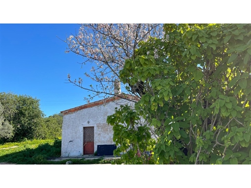 Land with Approval for Tourism in Rural Areas - Ter, with 3 bedroom house in Nora da Apra, Loulé