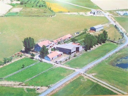 Farm with villa and agricultural land - Boidobra - Covilhã