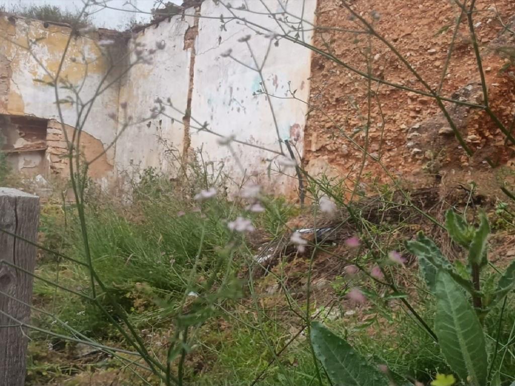 Urban Land Sale Lagoa