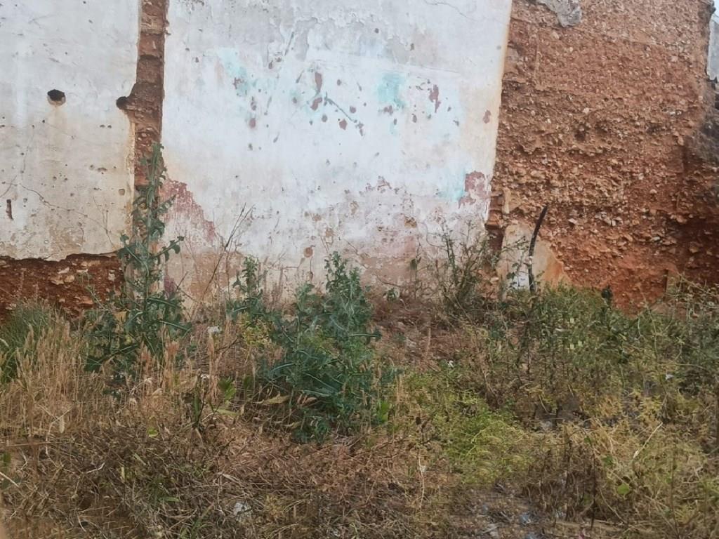 Urban Land Sale Lagoa