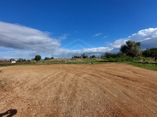 Terrain rustique de 4 963 m2 situé à côté de l'EN125, Boliqueime, Algarve