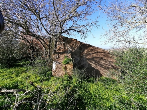 Terreno misto com ruína em Alcantarilha, Algarve