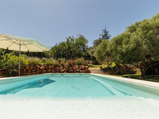 Villa de 4+1 chambres, avec piscine chauffée, sur un terrain de 2000m2 avec vignoble, Loulé, Algarve