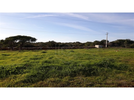Land with ruin, with possibility of expansion of the construction area, Santa Bárbara de Nexe, Faro,