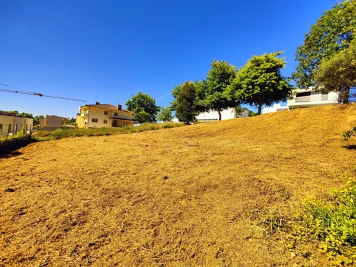 Building Land in S. João da Madeira