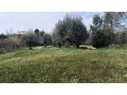 Land of 2520 m2 with great location in Fundão.