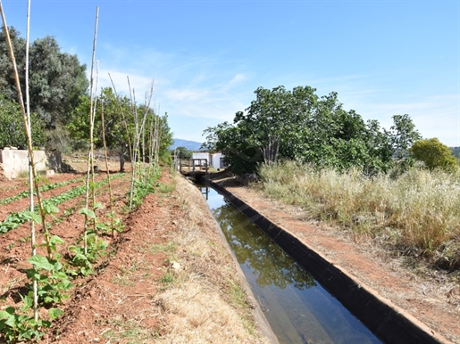 Ferme insérée dans un terrain mixte, Mexilhoeira Grande, Portimão