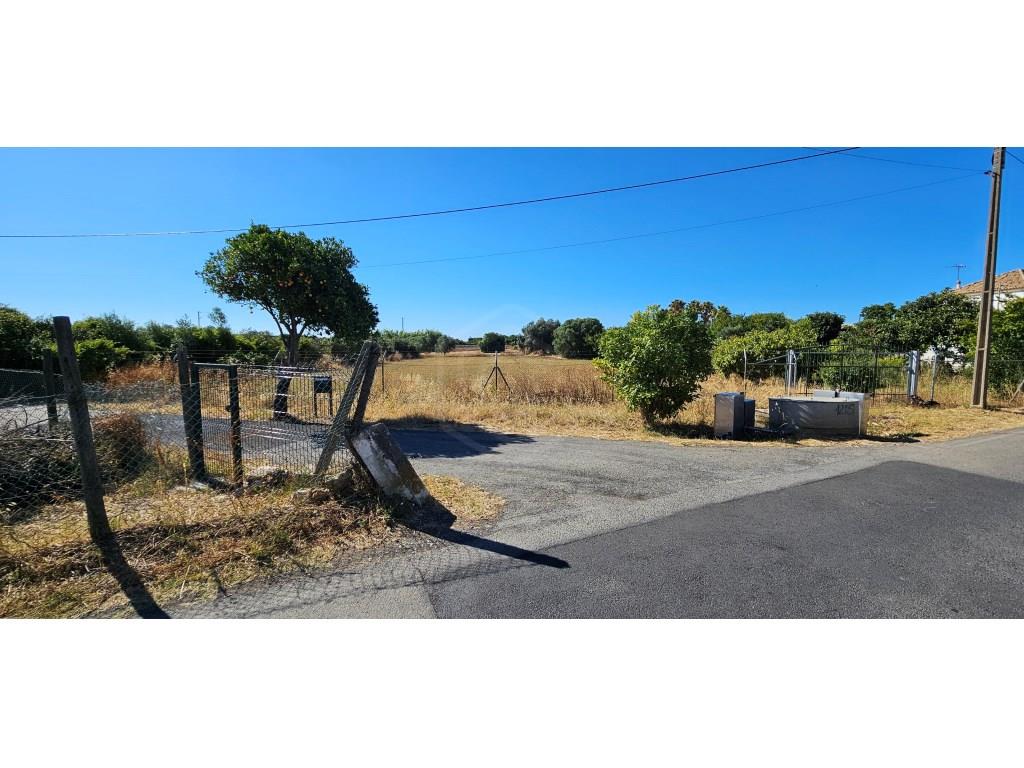 Purchase: House (8900)