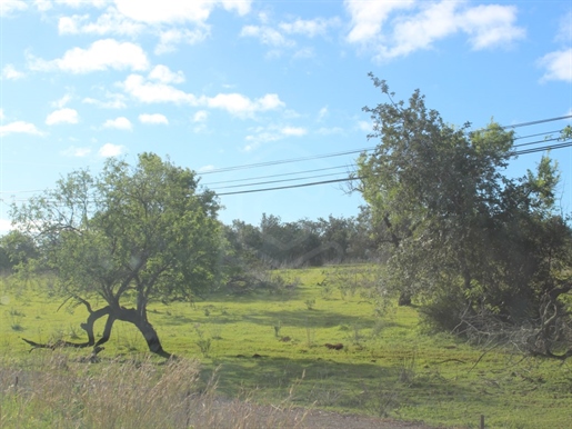 Mixed land with great potential of construction, Tavira, Algarve