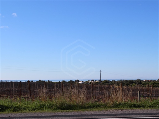 Mixed land with great potential of construction, Tavira, Algarve