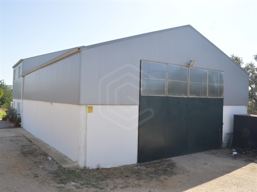 Entrepôt industriel avec un bon accès à Boliqueime, Algarve