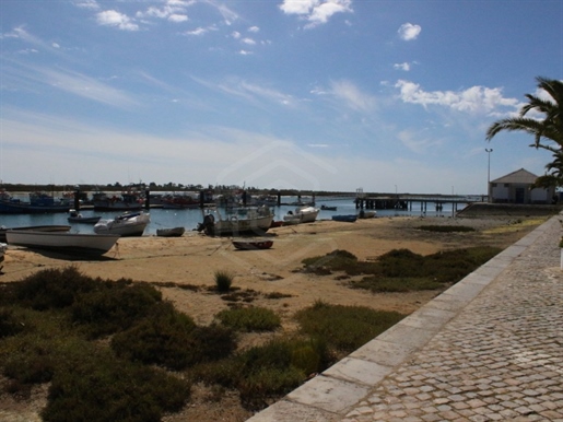 Urban plot near the Ria Formosa in Santa Luzia, Algarve