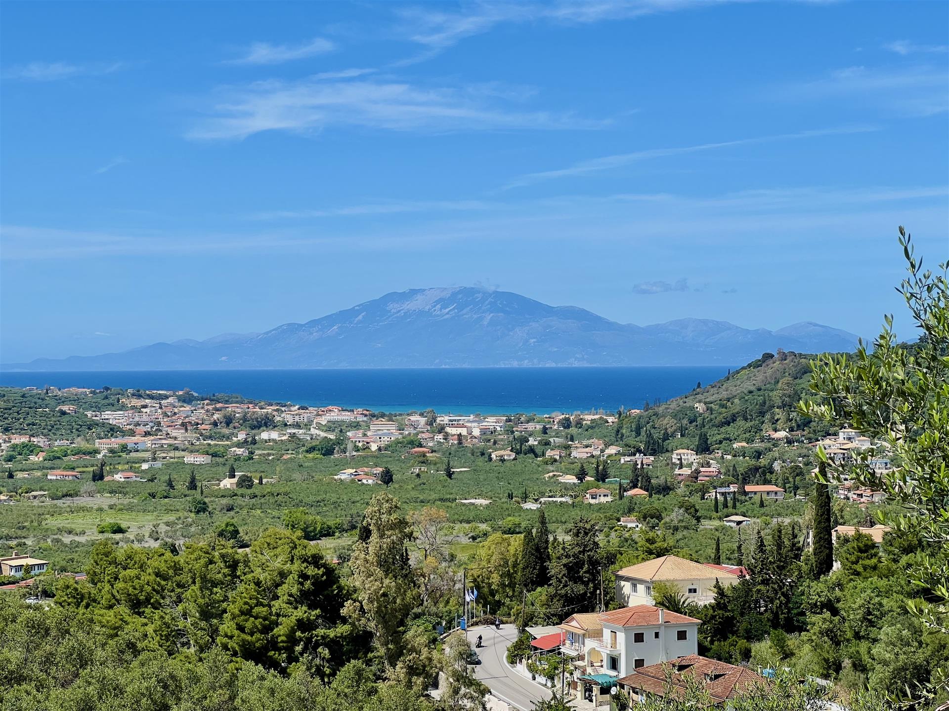 Seaview Olive Grove For Sale