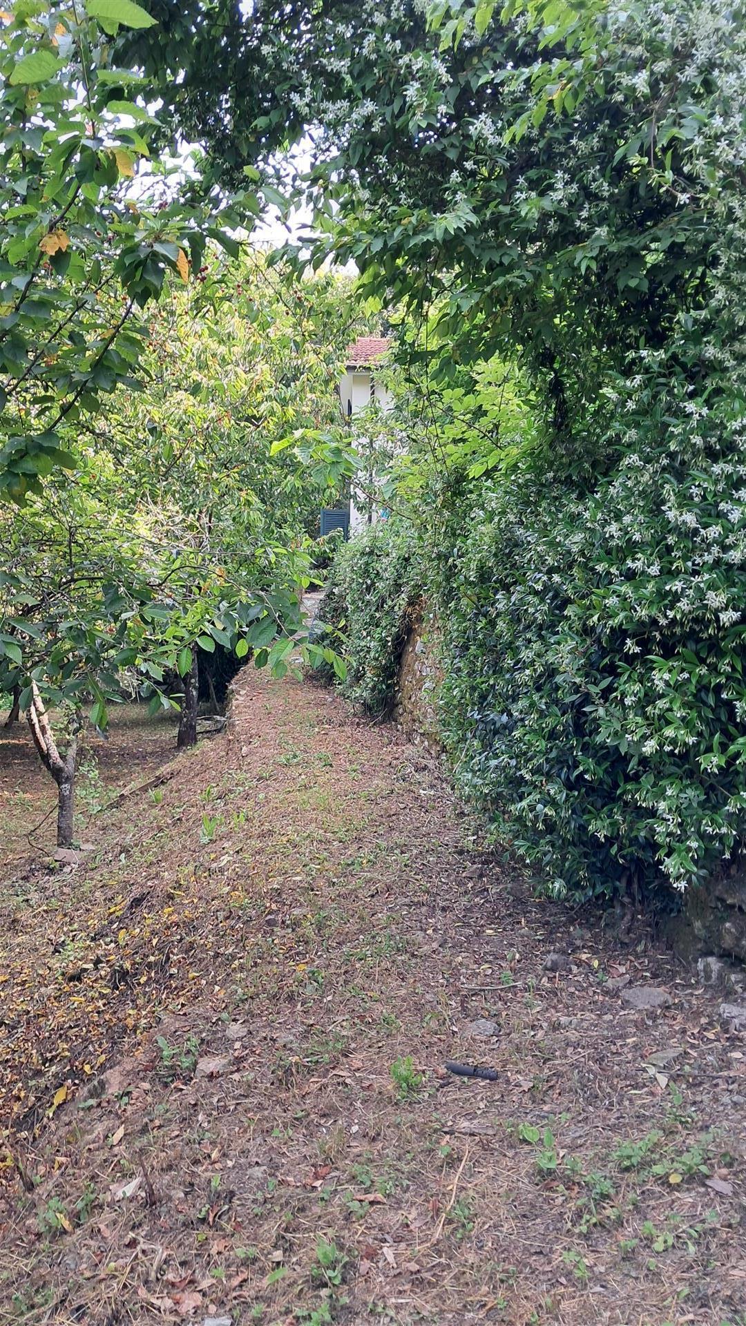Hills of Lerici