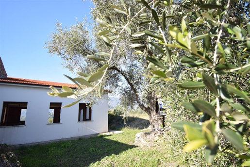 Vrijstaand huis van 80 m2 in Diano Castello