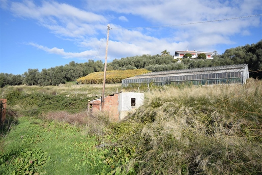 Terrain résidentiel de 8000 m2 à Diano Marina