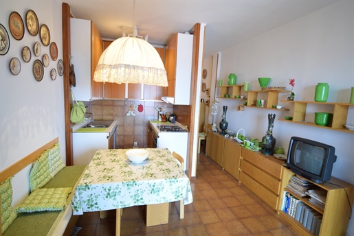 Apartment 55 m2 in San Bartolomeo al Mare