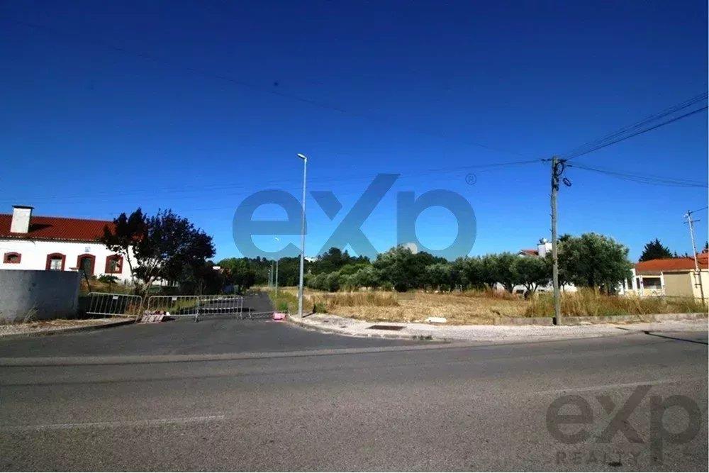 Infrastructured allotment for the construction of 33 houses and 3 buildings in Cartaxo