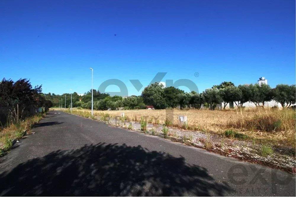 Infrastructured allotment for the construction of 33 houses and 3 buildings in Cartaxo