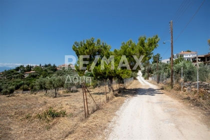Agricultural, 4448 sq, for sale
