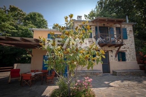 Vrijstaand huis te koop 140 m² Milies Agios Georgios Nilias
