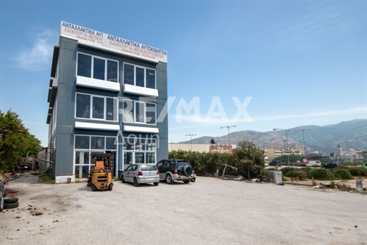 Building, 1261 sq, for sale