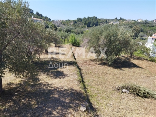 Agricultural, 1000 sq, for sale