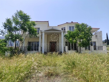 Kupnja: Kuća (19011)