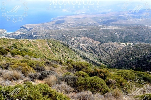 (Zu verkaufen) Nutzbares Grundstück || Kykladen/Andros-Hydrousa - 40.000 qm, 250.000€