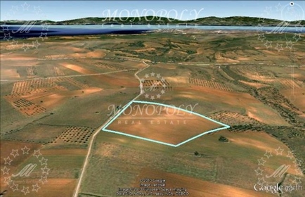 (Zu verkaufen) Nutzbares Grundstück || Präfektur Fthiotida/Opunta - 30.000,00Qm, 75.000€