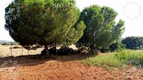 (For Sale) Land Agricultural Land || Argolida/Kranidi - 13.659 Sq.m, 150.000€