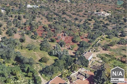 Land with 2,320m2 ideal for Senior Residences project