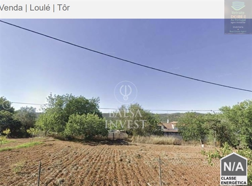 Land with 2.300m2 and feasibility for construction of 8 houses