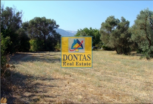 (Te koop) Bruikbare grond perceel || Prefectuur Chios - 4.208 m², 390.000€