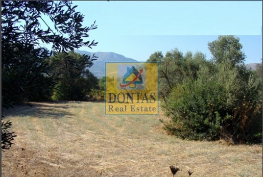 (Zu verkaufen) Nutzbares Grundstück || Präfektur Chios - 4.208 m², 390.000€
