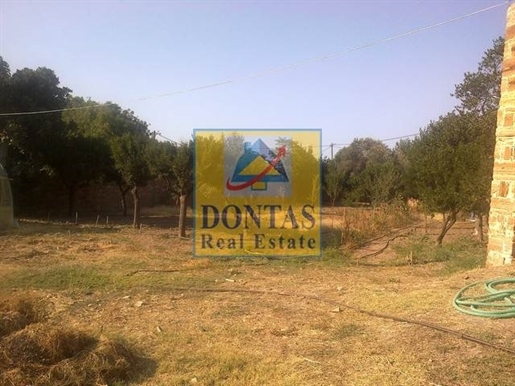 (Zu verkaufen) Nutzbares Grundstück || Chios/Präfektur Chios - 12.500 qm, 1.000.000€