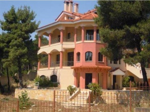 (For Sale) Residential Detached house || East Attica/Afidnes (Kiourka) - 500 Sq.m, 6 Bedrooms, 700.0