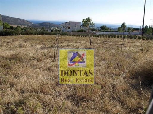 (À vendre) Terrain utilisable || Est Attique/Kalyvia-Lagonissi - 2.088 m², 450.000€