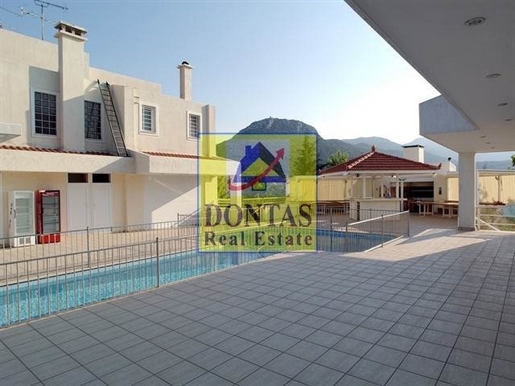 (For Sale) Residential Detached house || East Attica/Afidnes (Kiourka) - 800 Sq.m, 10 Bedrooms, 1.00