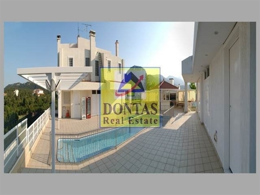 (À vendre) Maison individuelle résidentielle || Est Attique/Afidnes (Kiourka) - 800 m², 10 Chambres